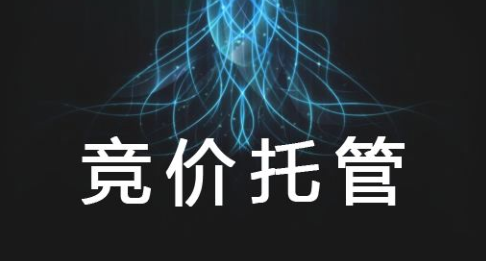 競價(jià)托管代運(yùn)營真的很有必要嗎