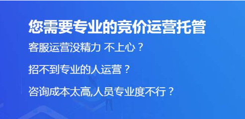 競價(jià)托管這種服務(wù)一般適合什么樣的用戶