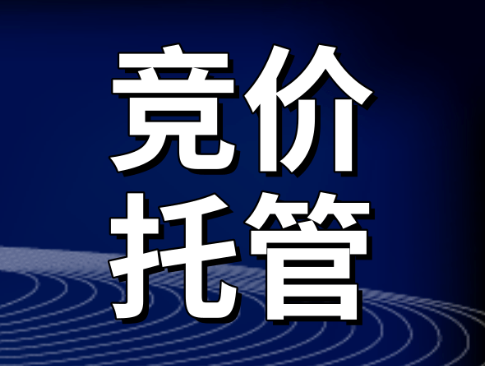 選擇競(jìng)價(jià)托管公司的方法和必要問題